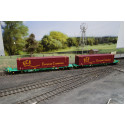 Twin Intermodal Wagons With 45ft ECS Containers Twin Intermodal Wagons With 45ft ECS Containers