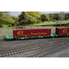 Twin Intermodal Wagons With 45ft ECS Containers