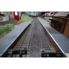 Oxden 20ft OO Gauge Railway Layout
